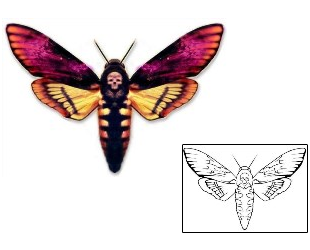 Moth Tattoo Death's Head Moth Tattoo