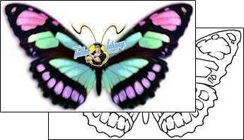 Butterfly Tattoo dbf-00311