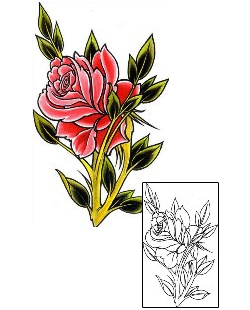 Traditional Tattoo Tattoo Styles tattoo | DFF-00142