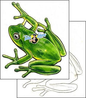 Frog Tattoo reptiles-and-amphibians-frog-tattoos-damien-friesz-dff-00218