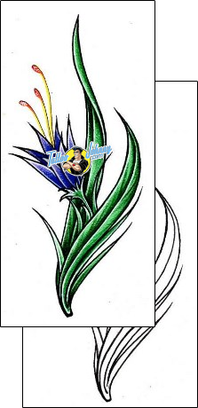 Flower Tattoo plant-life-flowers-tattoos-damien-friesz-dff-00235