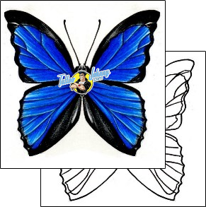 Wings Tattoo for-women-wings-tattoos-damien-friesz-dff-00845