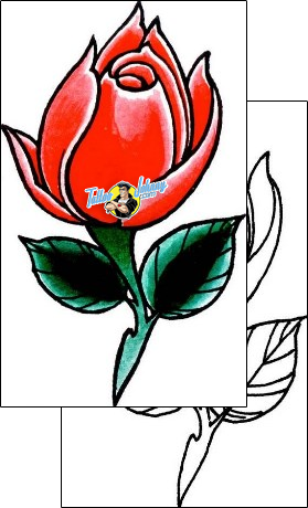 Flower Tattoo plant-life-flowers-tattoos-damien-friesz-dff-01195