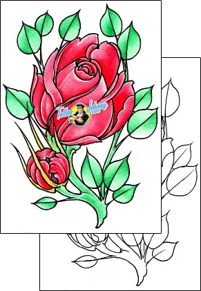 Rose Tattoo plant-life-rose-tattoos-damien-friesz-dff-01501