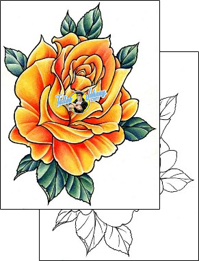Rose Tattoo plant-life-rose-tattoos-damien-friesz-dff-01505