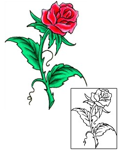 Picture of Plant Life tattoo | DHF-00084