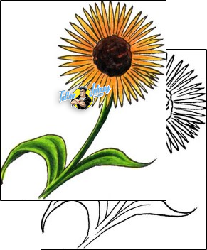 Daisy Tattoo plant-life-daisy-tattoos-don-furbush-dhf-00284