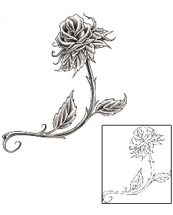 Rose Tattoo Plant Life tattoo | DHF-00301