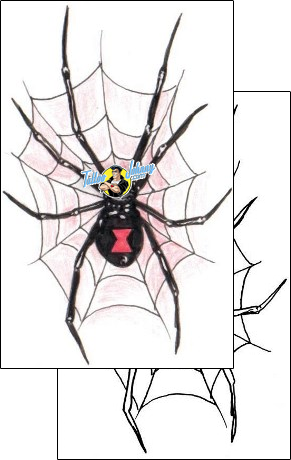 Spider Tattoo insects-spider-tattoos-edward-cherniga-ecf-00043