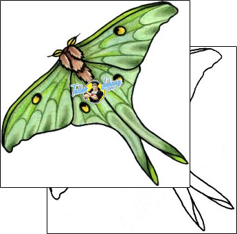 Moth Tattoo insects-moth-tattoos-eddie-deblock-ekf-00054