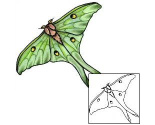 Moth Tattoo Insects tattoo | EKF-00054