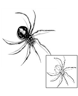 Spider Tattoo Insects tattoo | G1F-00074