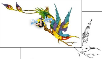 Bird Tattoo animal-bird-tattoos-gary-davis-g1f-00117