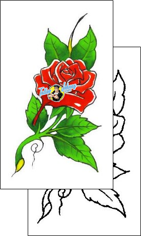Rose Tattoo plant-life-rose-tattoos-gary-davis-g1f-00162