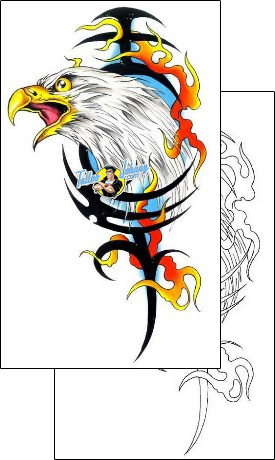 Eagle Tattoo animal-eagle-tattoos-gary-davis-g1f-00495