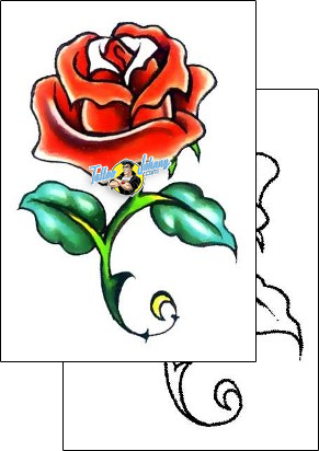 Rose Tattoo plant-life-rose-tattoos-gary-davis-g1f-00695