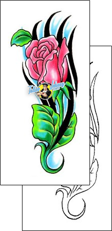 Rose Tattoo plant-life-rose-tattoos-gary-davis-g1f-01399