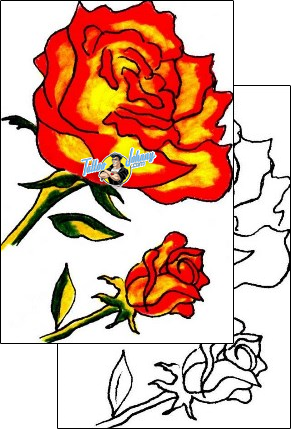 Flower Tattoo plant-life-flowers-tattoos-gwenn-glotnis-ggf-00064