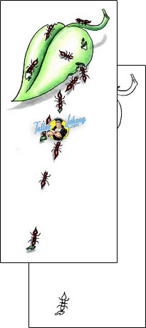 Insect Tattoo ant-tattoos-gentleman-jim-gjf-00105