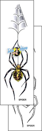 Spider Tattoo insects-spider-tattoos-gentleman-jim-gjf-00761