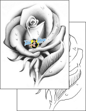 Flower Tattoo flower-tattoos-gentleman-jim-gjf-01447
