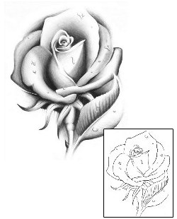 Picture of Plant Life tattoo | GJF-01447