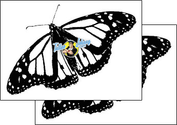 Butterfly Tattoo insects-butterfly-tattoos-gentleman-jim-gjf-01525