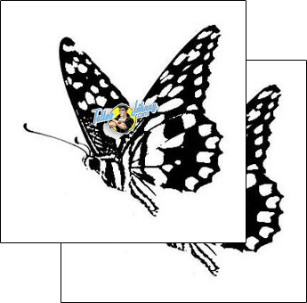 Butterfly Tattoo insects-butterfly-tattoos-gentleman-jim-gjf-01528