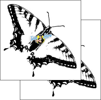 Butterfly Tattoo insects-butterfly-tattoos-gentleman-jim-gjf-01536