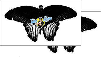 Butterfly Tattoo insects-butterfly-tattoos-gentleman-jim-gjf-01537