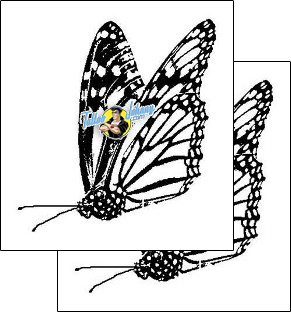 Butterfly Tattoo insects-butterfly-tattoos-gentleman-jim-gjf-01538