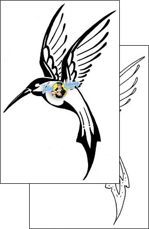 Bird Tattoo animal-bird-tattoos-gail-somers-gsf-00049