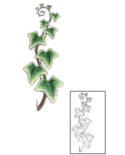 Vine Tattoo Plant Life tattoo | GSF-01242