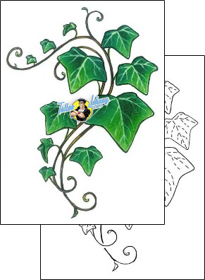 Vine Tattoo plant-life-vine-tattoos-gail-somers-gsf-01367