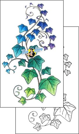 Vine Tattoo plant-life-vine-tattoos-gail-somers-gsf-01373