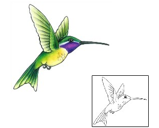 Hummingbird Tattoo Animal tattoo | GSF-01432