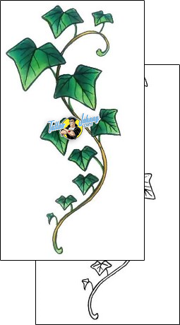 Vine Tattoo plant-life-vine-tattoos-gail-somers-gsf-01453