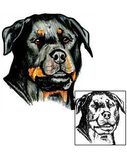 Picture of Rambo Rottweiler Tattoo