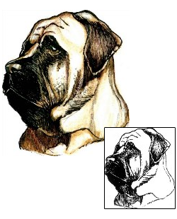 Picture of Becks Mastiff Tattoo