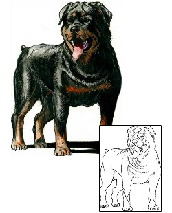Picture of Rocco Rottweiler Tattoo