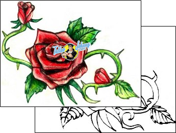 Rose Tattoo plant-life-rose-tattoos-hector-guma-hgf-00908