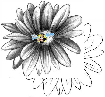 Daisy Tattoo plant-life-daisy-tattoos-inksanity-tattoos-inf-00026