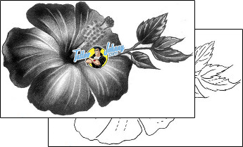 Hibiscus Tattoo plant-life-hibiscus-tattoos-inksanity-tattoos-inf-00031