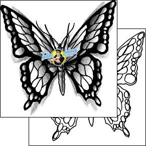 Wings Tattoo for-women-wings-tattoos-jackie-rabbit-j0f-00178