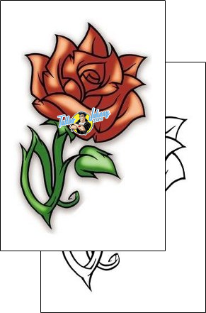 Rose Tattoo plant-life-rose-tattoos-jeremy-harburn-jhf-00064