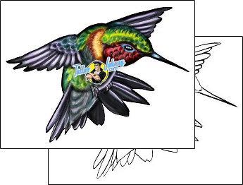 Animal Tattoo hummingbird-tattoos-john-bergin-jif-00016