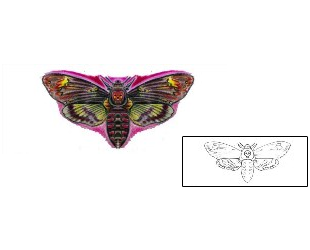 Moth Tattoo For Women tattoo | JKF-00102