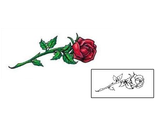 Rose Tattoo Plant Life tattoo | JNF-00035