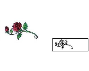Rose Tattoo Plant Life tattoo | JNF-00063