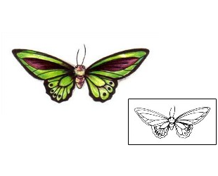Picture of Insects tattoo | JNF-00121